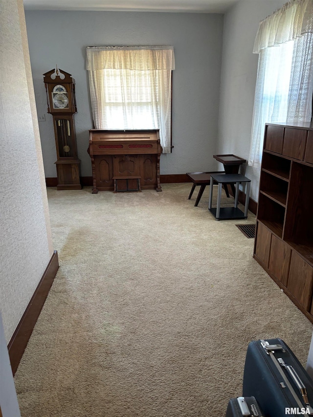 misc room featuring a wealth of natural light and light colored carpet