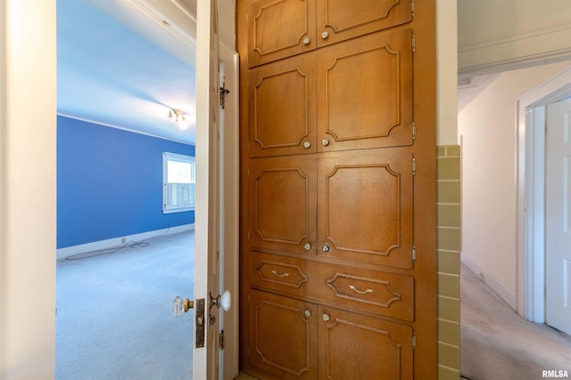 room details featuring carpet floors