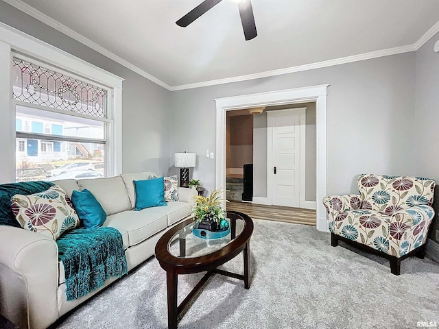 carpeted living room featuring ceiling fan and crown molding