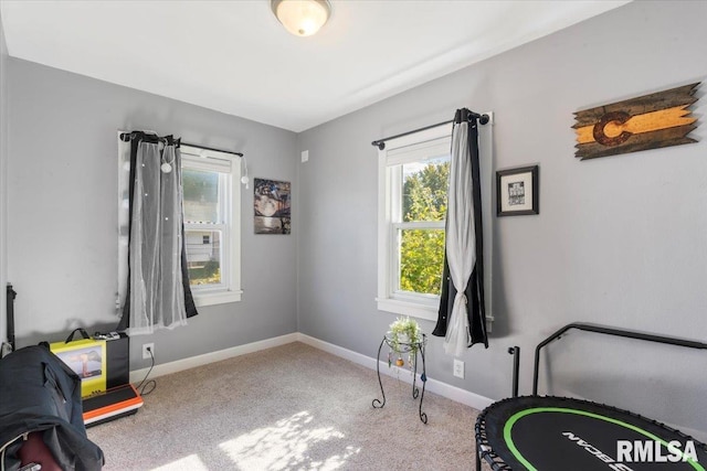 bedroom featuring carpet