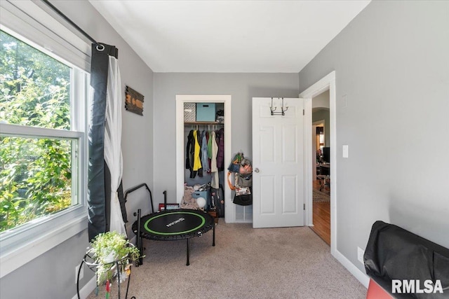 interior space featuring light carpet and plenty of natural light