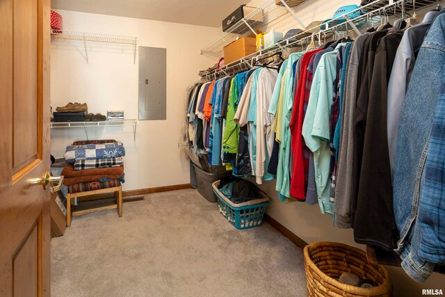 spacious closet featuring electric panel and carpet