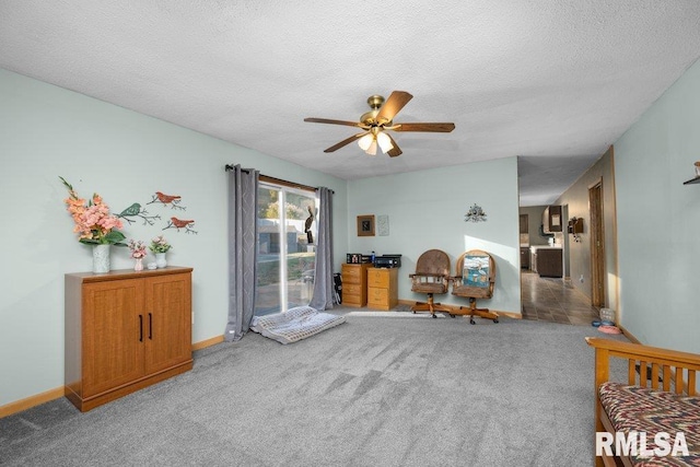 living area featuring carpet flooring and a textured ceiling