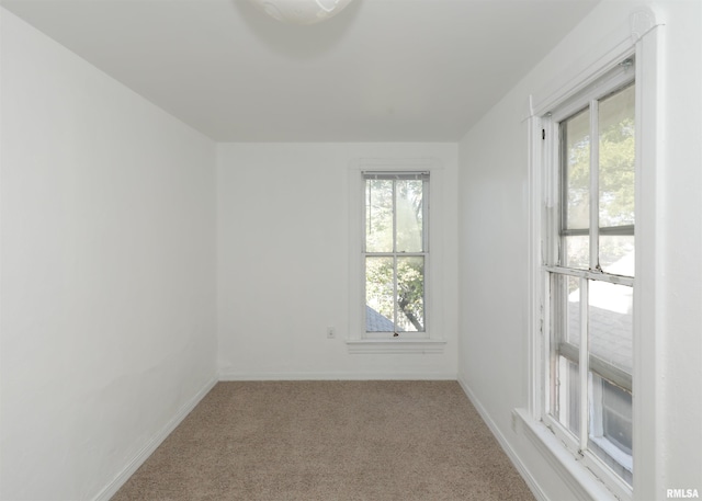 unfurnished room featuring a wealth of natural light and light colored carpet