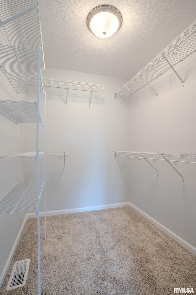 941 9th Ave N, Clinton, IA 52732 - walk in closet with carpet flooring