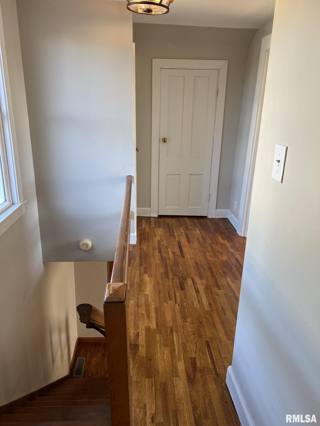 hallway featuring dark hardwood / wood-style flooring