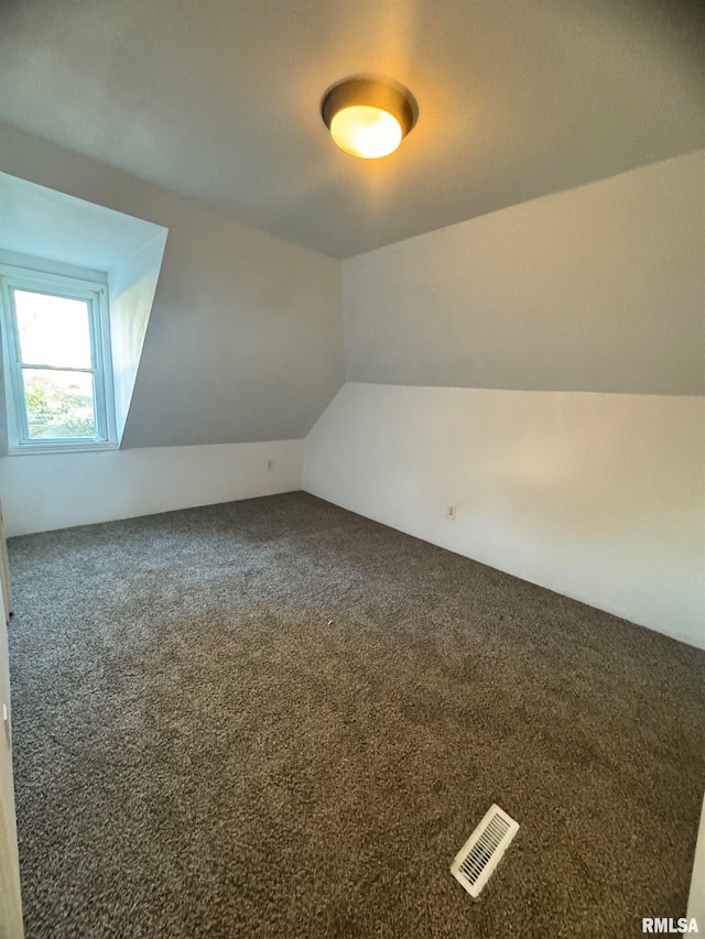 additional living space featuring lofted ceiling and carpet floors