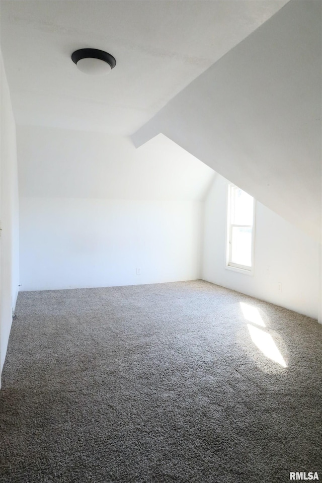 additional living space with lofted ceiling and carpet