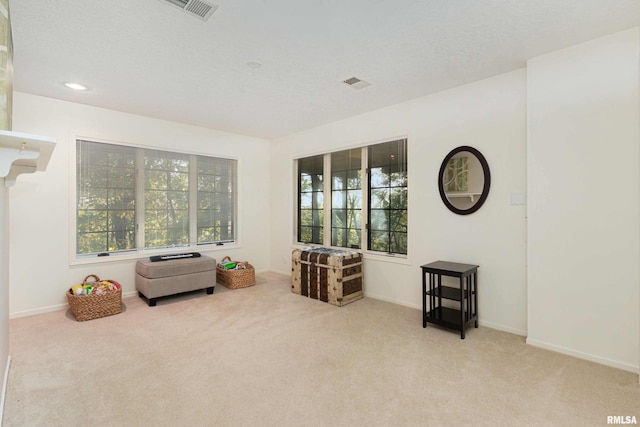 sitting room featuring light carpet