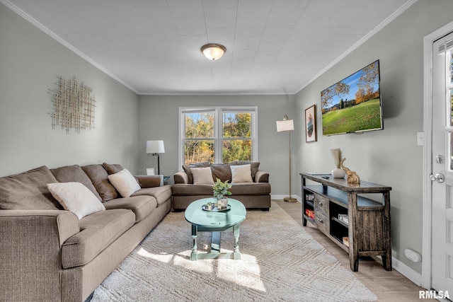 living room featuring crown molding and light hardwood / wood-style floors