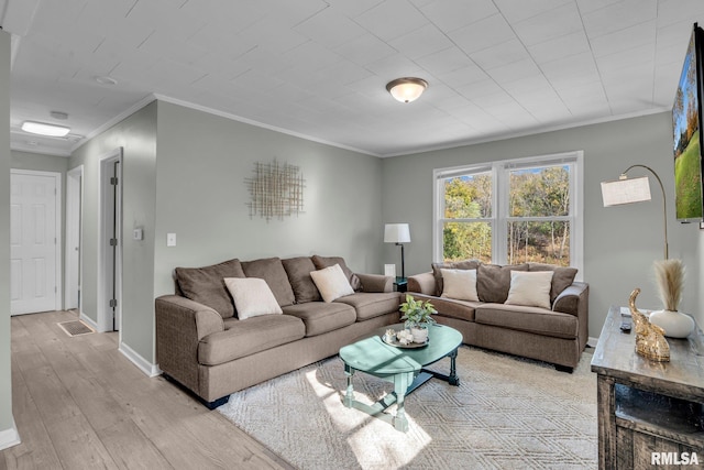 living room featuring light hardwood / wood-style floors and crown molding