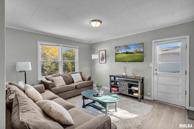 living room featuring crown molding and light hardwood / wood-style flooring