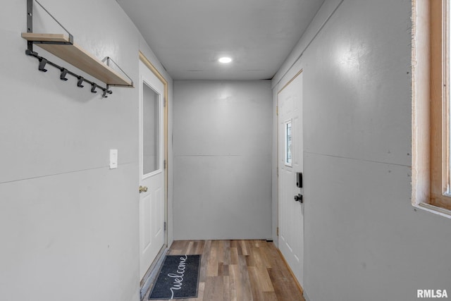 interior space featuring light hardwood / wood-style floors