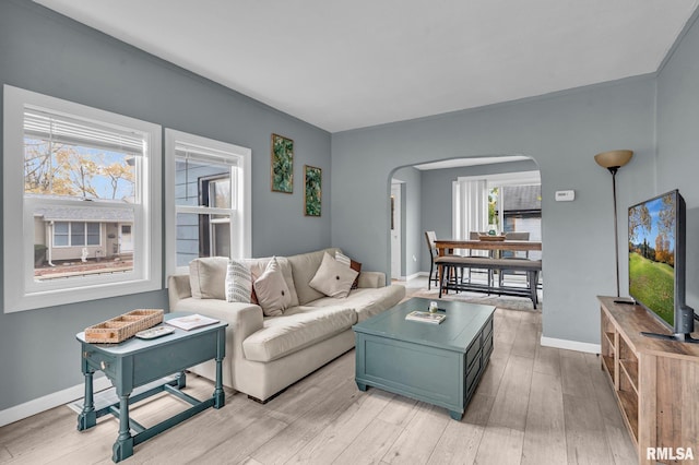 living room with light hardwood / wood-style floors and a healthy amount of sunlight