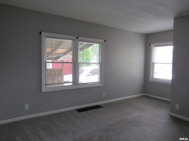 spare room featuring a healthy amount of sunlight and carpet floors