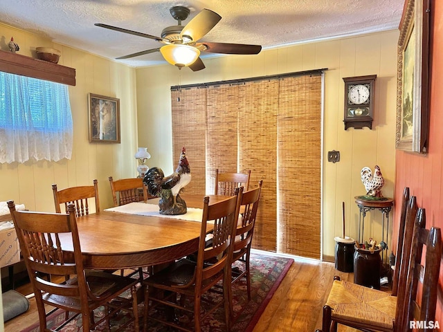 dining room featuring ceiling fan, wood walls, wood-type flooring, and a textured ceiling