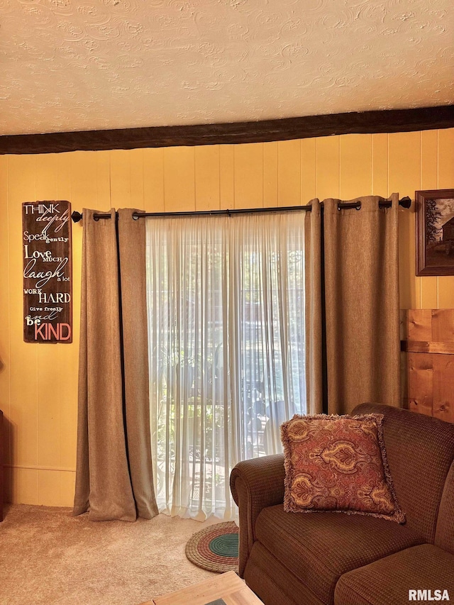 carpeted living room with a textured ceiling