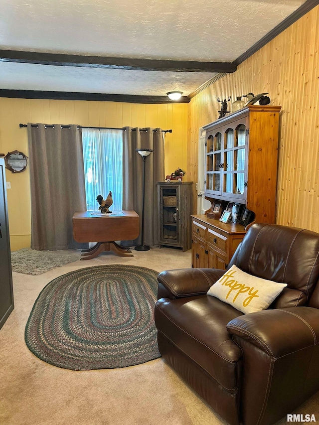 living area featuring beamed ceiling, ornamental molding, a textured ceiling, and light colored carpet