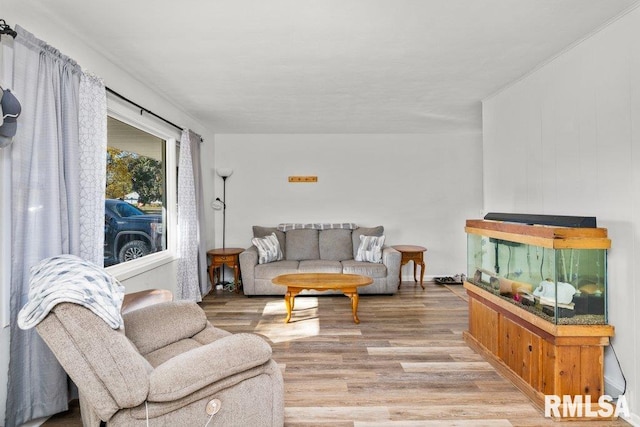 living room featuring light hardwood / wood-style floors