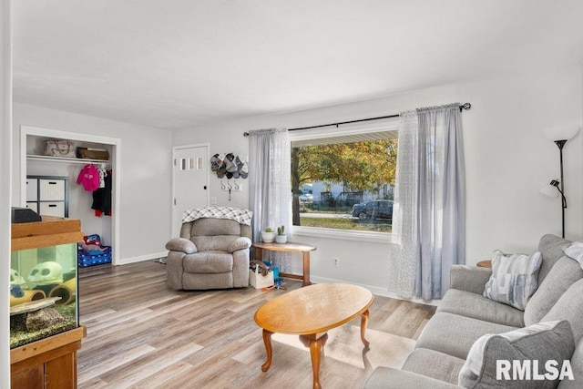 living room featuring light hardwood / wood-style floors