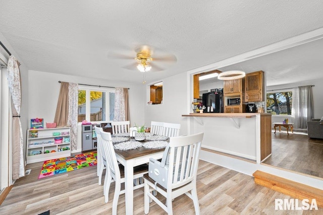 dining area with a textured ceiling, light wood-type flooring, and ceiling fan