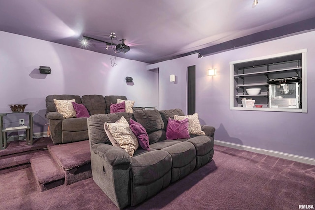 cinema room with carpet