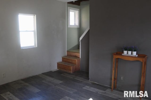 staircase with hardwood / wood-style floors