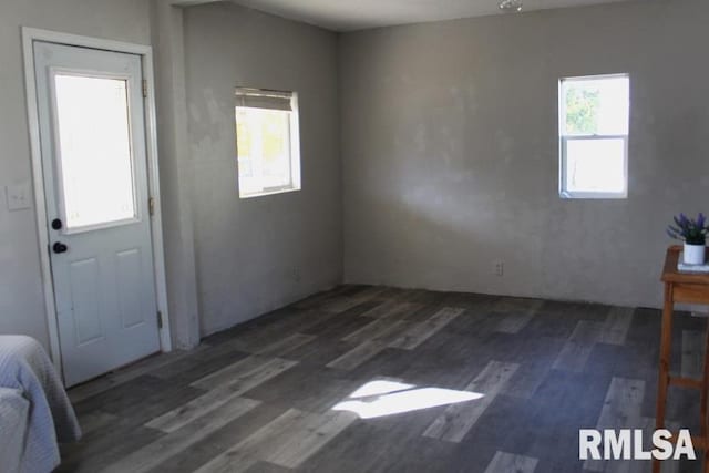 foyer with dark wood-type flooring