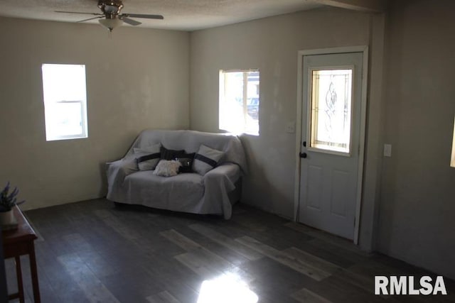 foyer entrance with ceiling fan, dark hardwood / wood-style flooring, and a textured ceiling