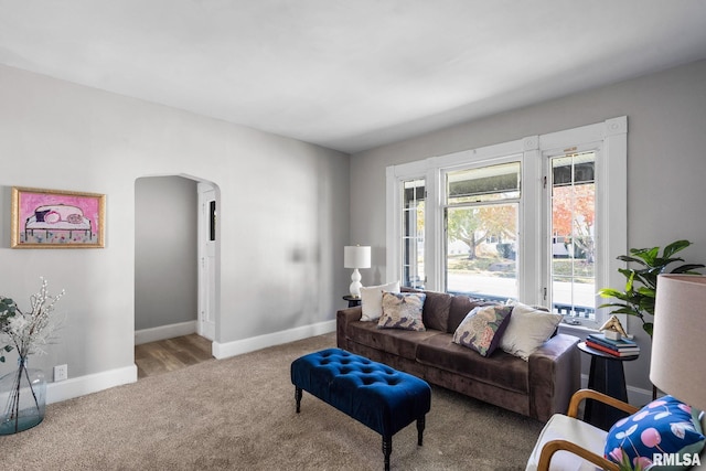 view of carpeted living room