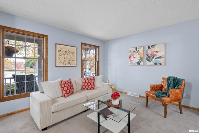 carpeted living room with a textured ceiling