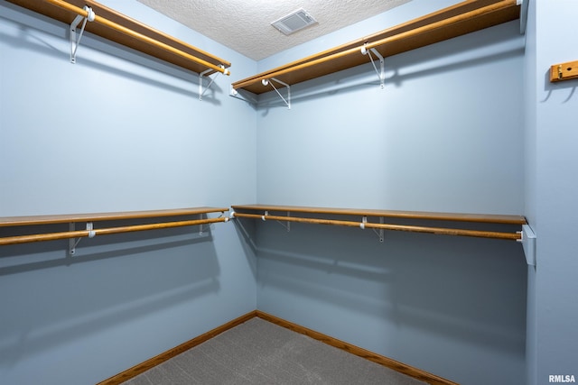 spacious closet featuring carpet flooring