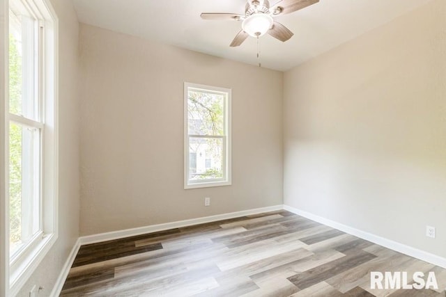 spare room with ceiling fan and light hardwood / wood-style floors