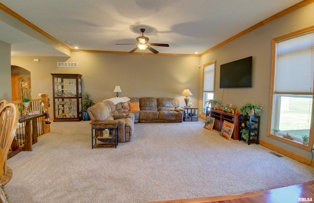 carpeted living room with crown molding and ceiling fan