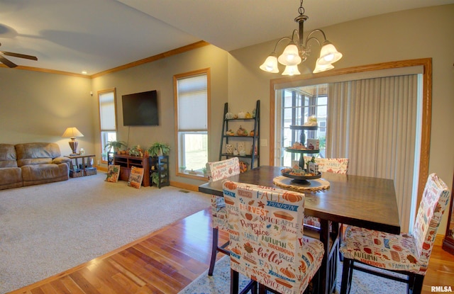 dining space featuring ornamental molding, hardwood / wood-style flooring, ceiling fan with notable chandelier, and a wealth of natural light