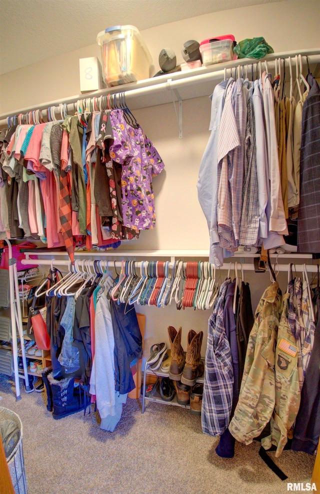 walk in closet featuring carpet flooring