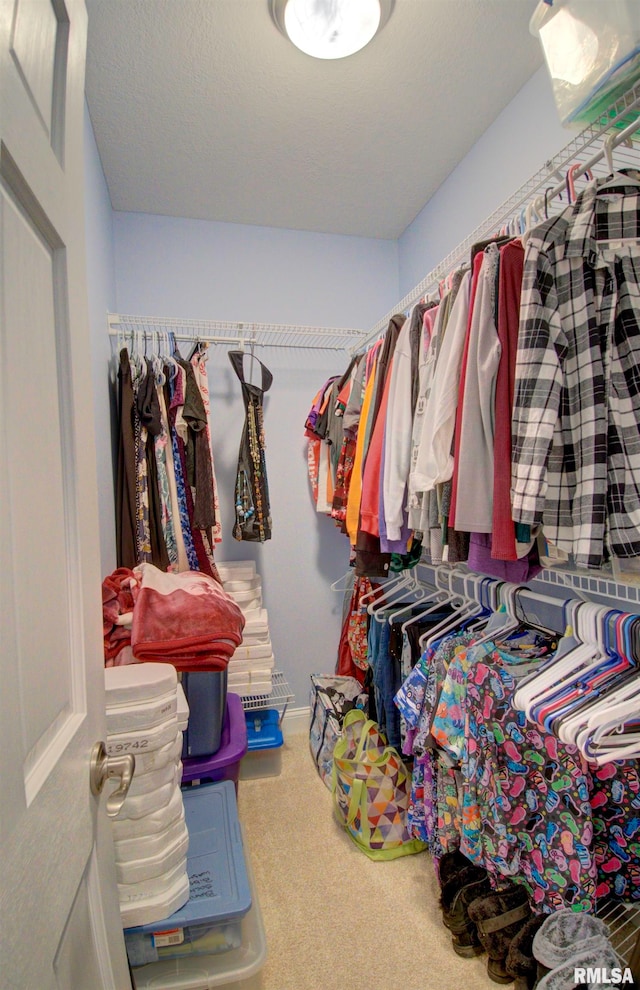 walk in closet featuring carpet floors