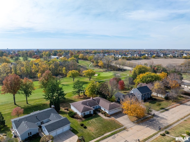 bird's eye view