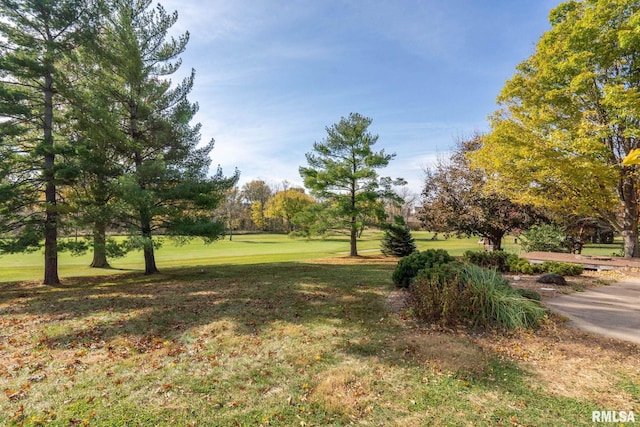 view of property's community featuring a lawn