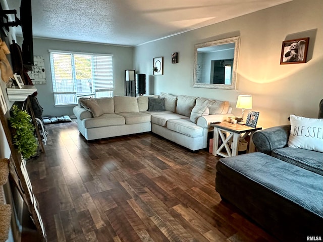 living room with dark hardwood / wood-style floors and a textured ceiling