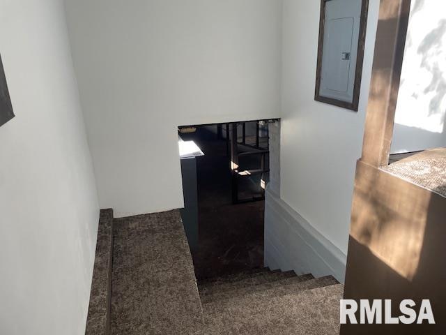 stairway featuring electric panel and carpet floors