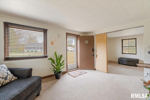 entryway featuring carpet, crown molding, and a wealth of natural light