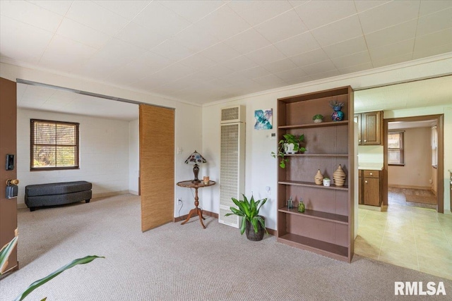 interior space featuring crown molding and light carpet