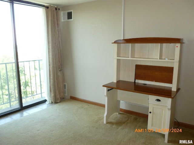 unfurnished office featuring light colored carpet