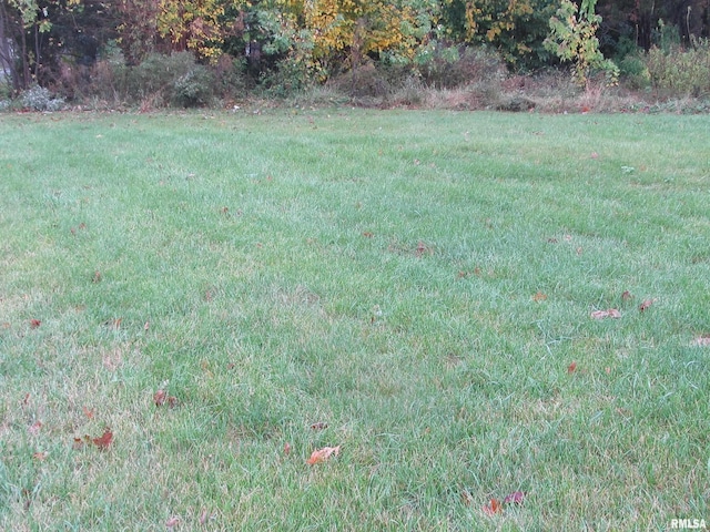 1719 7th St, Rock Island, IL 61201 - photo 1