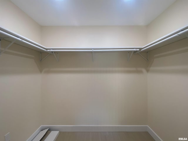 spacious closet featuring wood-type flooring