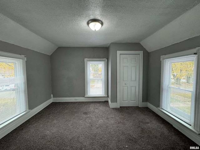 additional living space with dark carpet, lofted ceiling, and a textured ceiling