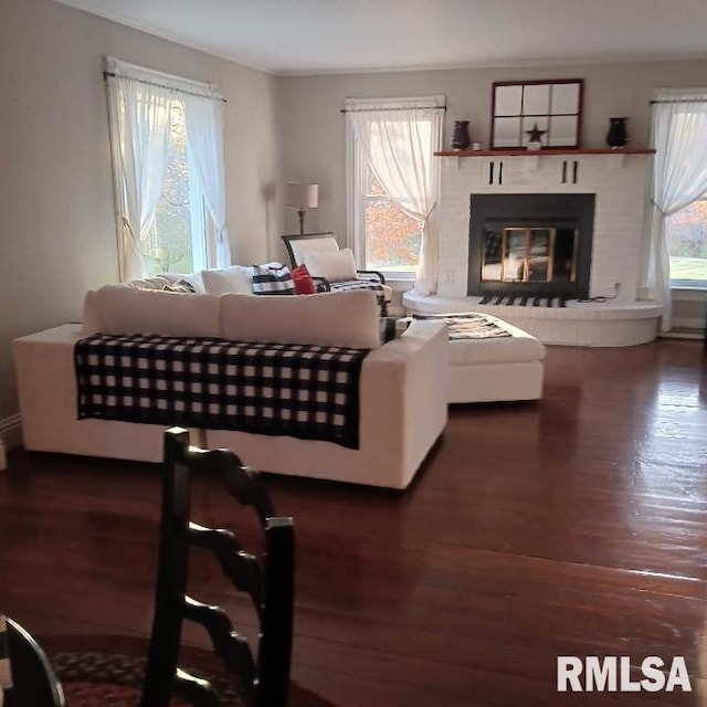 living room featuring dark hardwood / wood-style floors