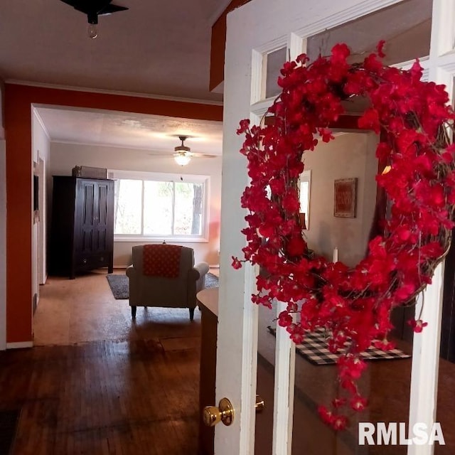 hallway with hardwood / wood-style floors and ornamental molding