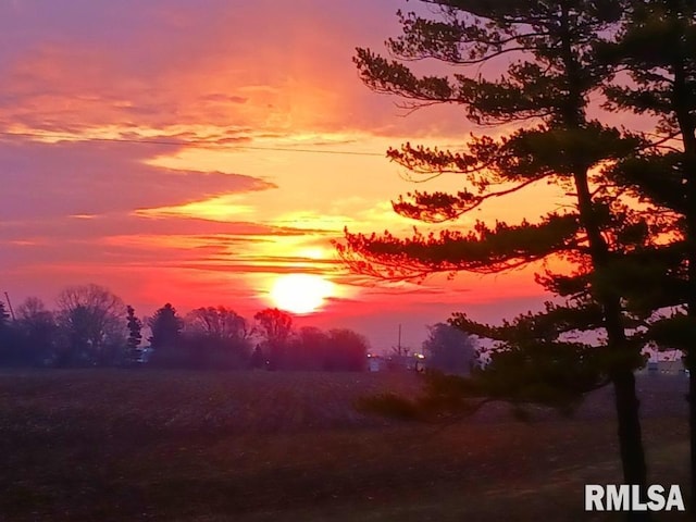 view of nature at dusk